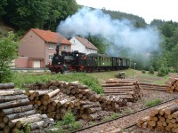 Zug mit Lok "Speyerbsch" am Sägewerk